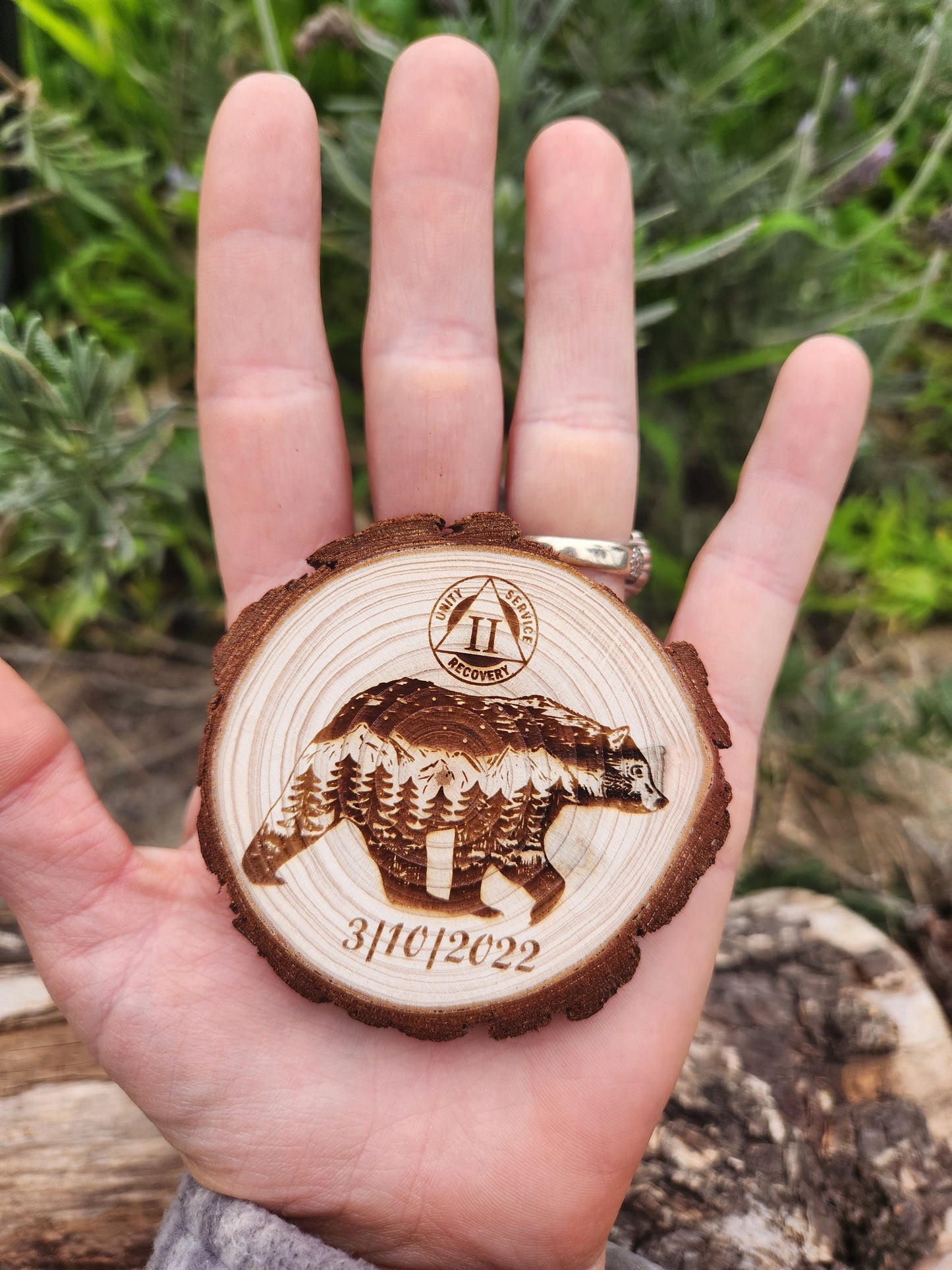 Bear of Brotherly Love