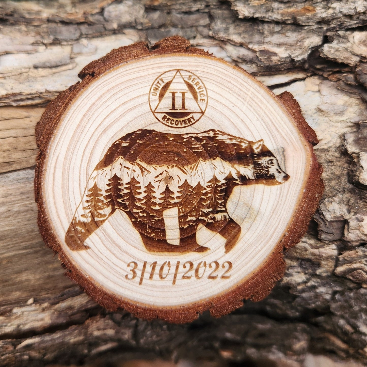 Bear of Brotherly Love