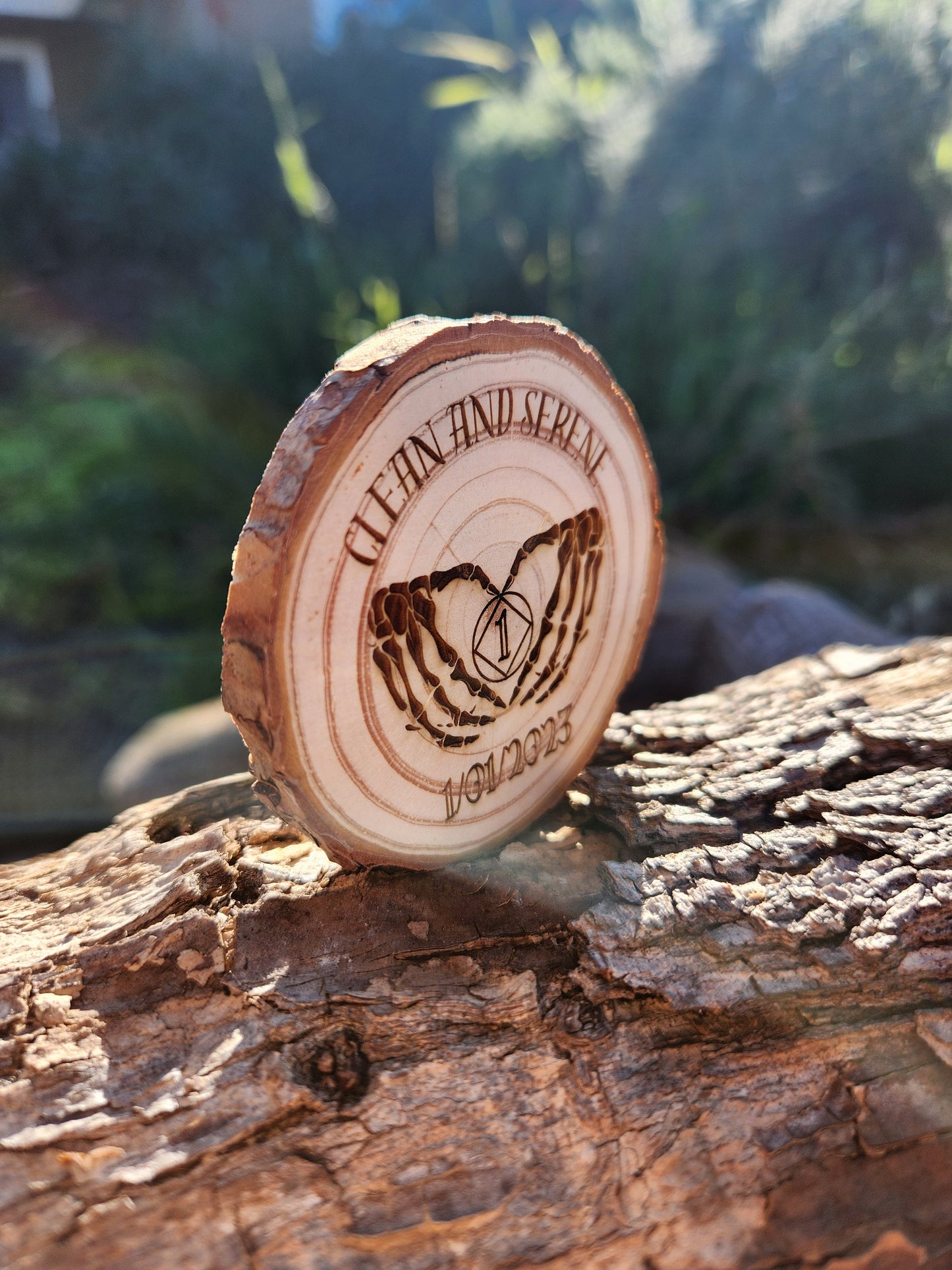 Skeleton Hand Heart and Serene NA recovery chip back with serenity prayer