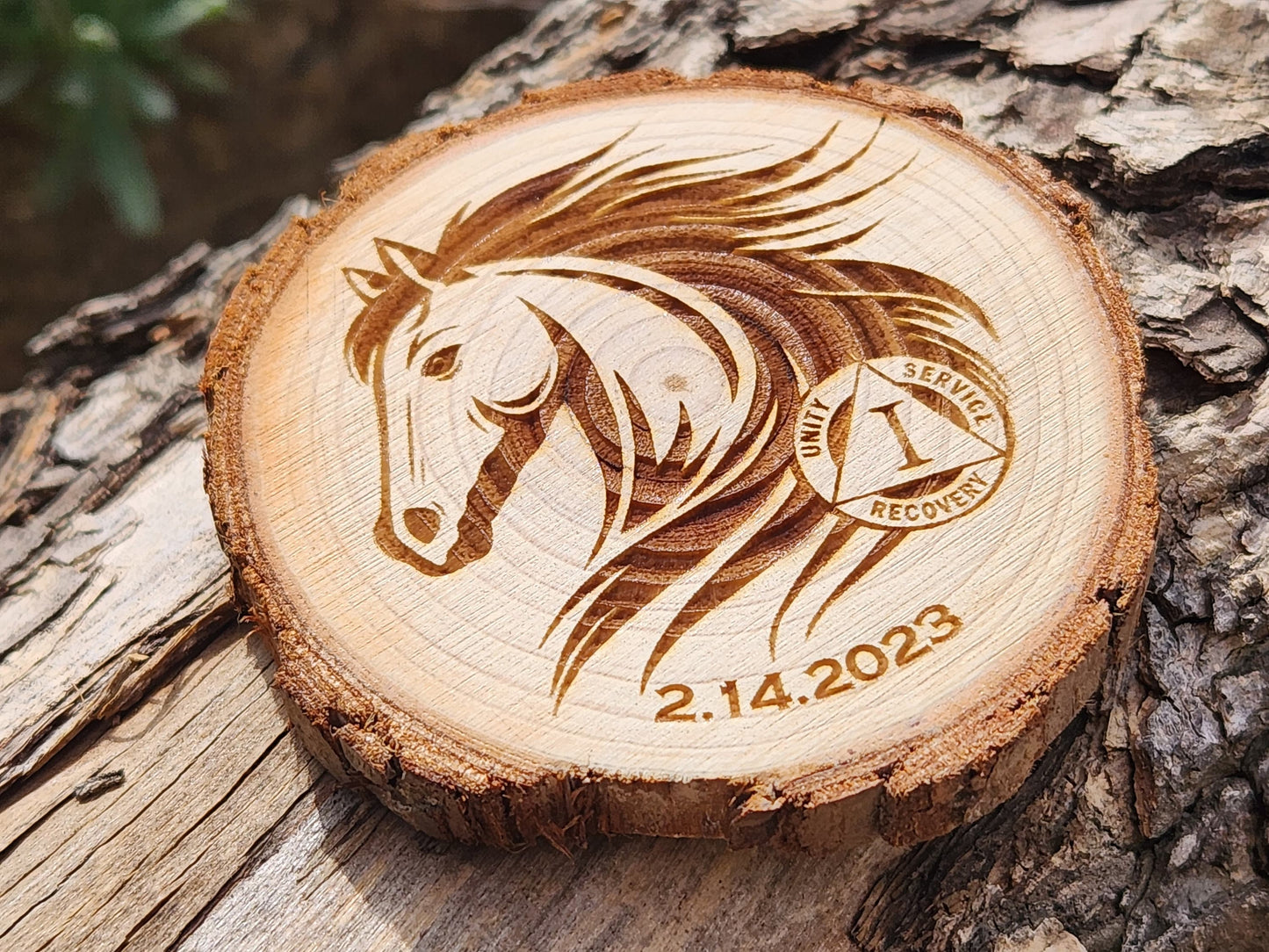 Wild and Free Stallion Horse recovery chip back with serenity prayer