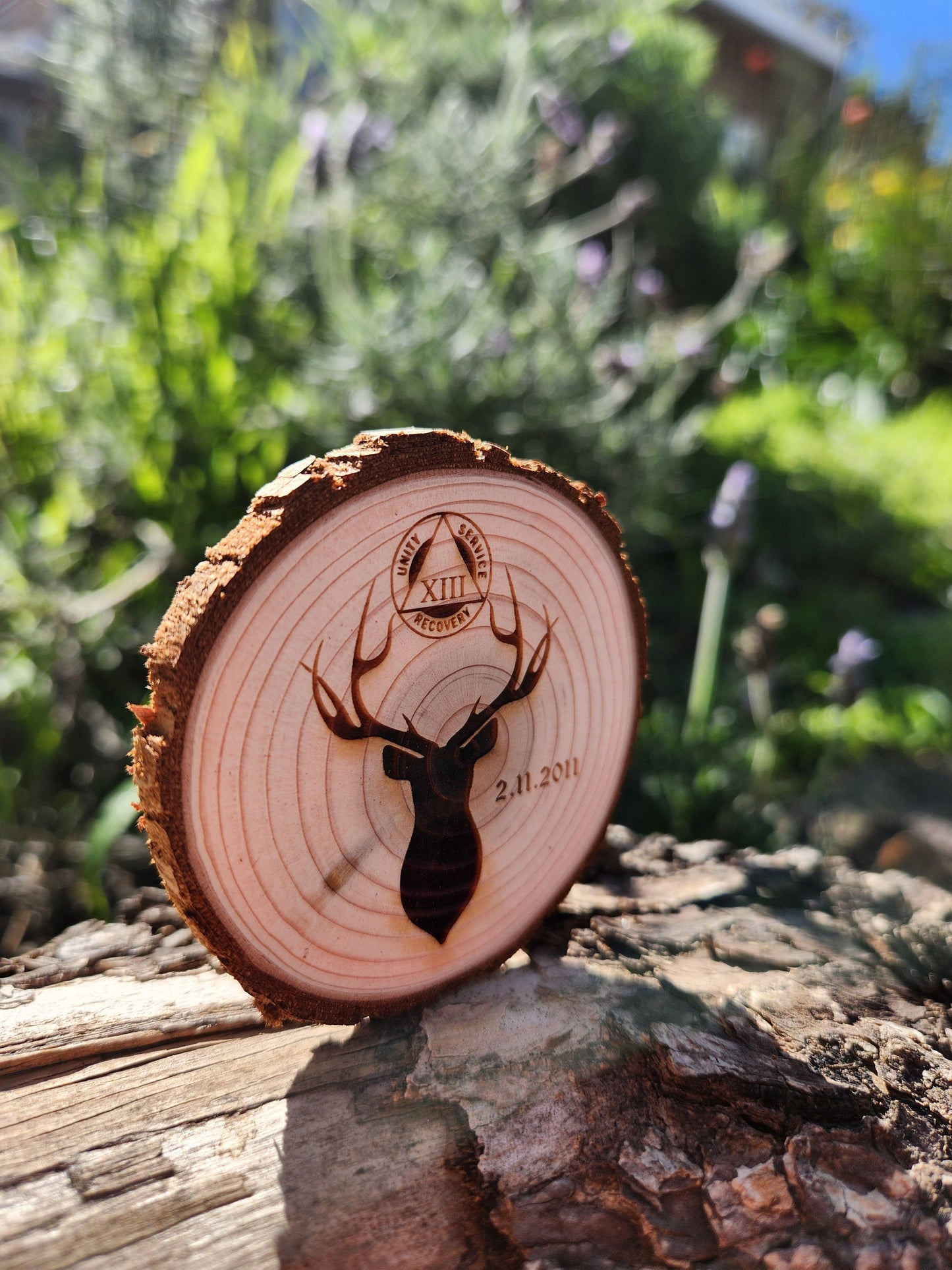 The Lone Stag recovery chip back with serenity prayer