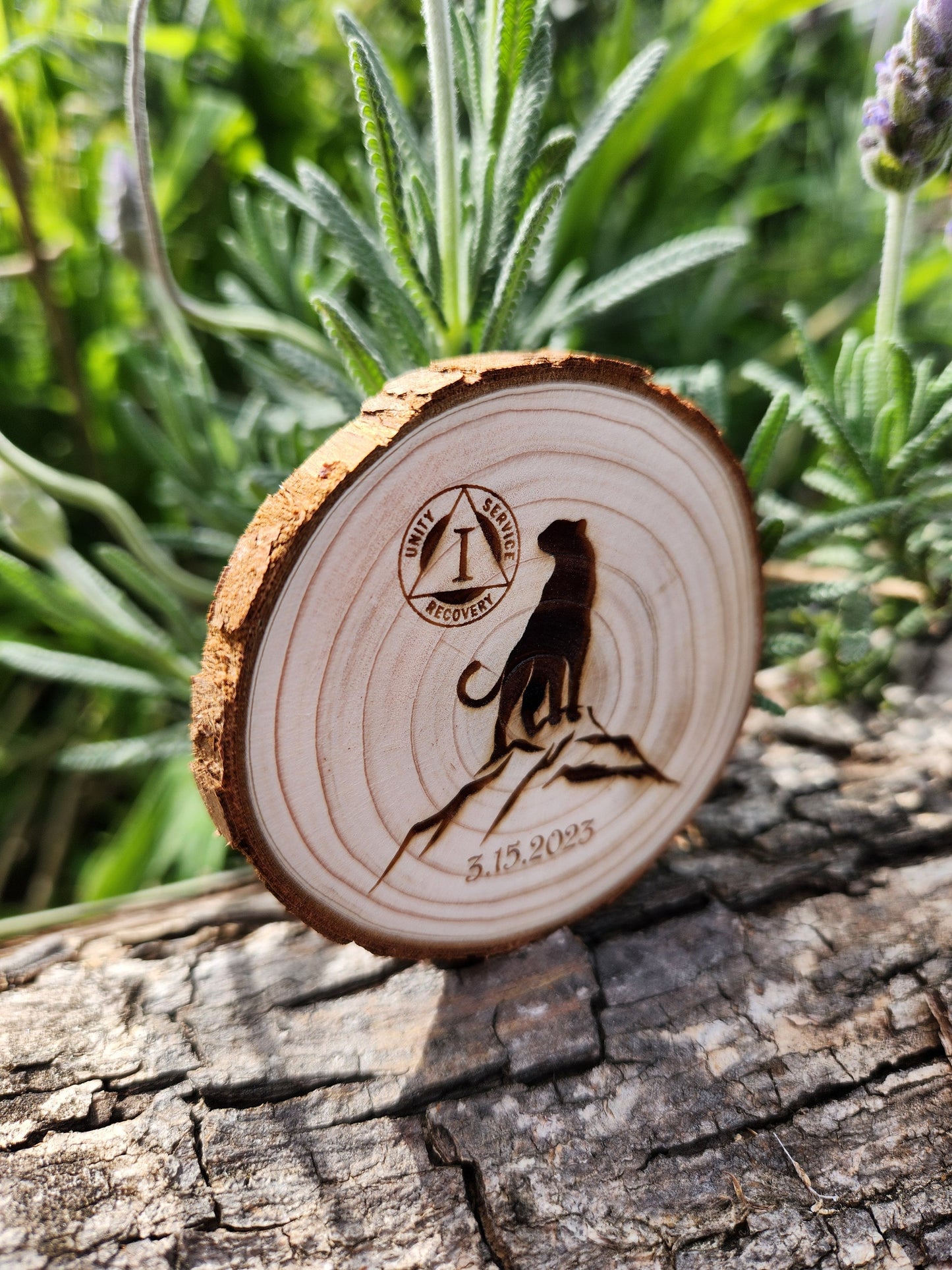 Cougar of Awareness recovery chip back with serenity prayer