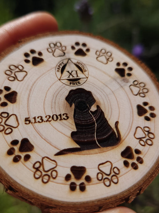 Fur Babies personalized AA sobriety medallion front view