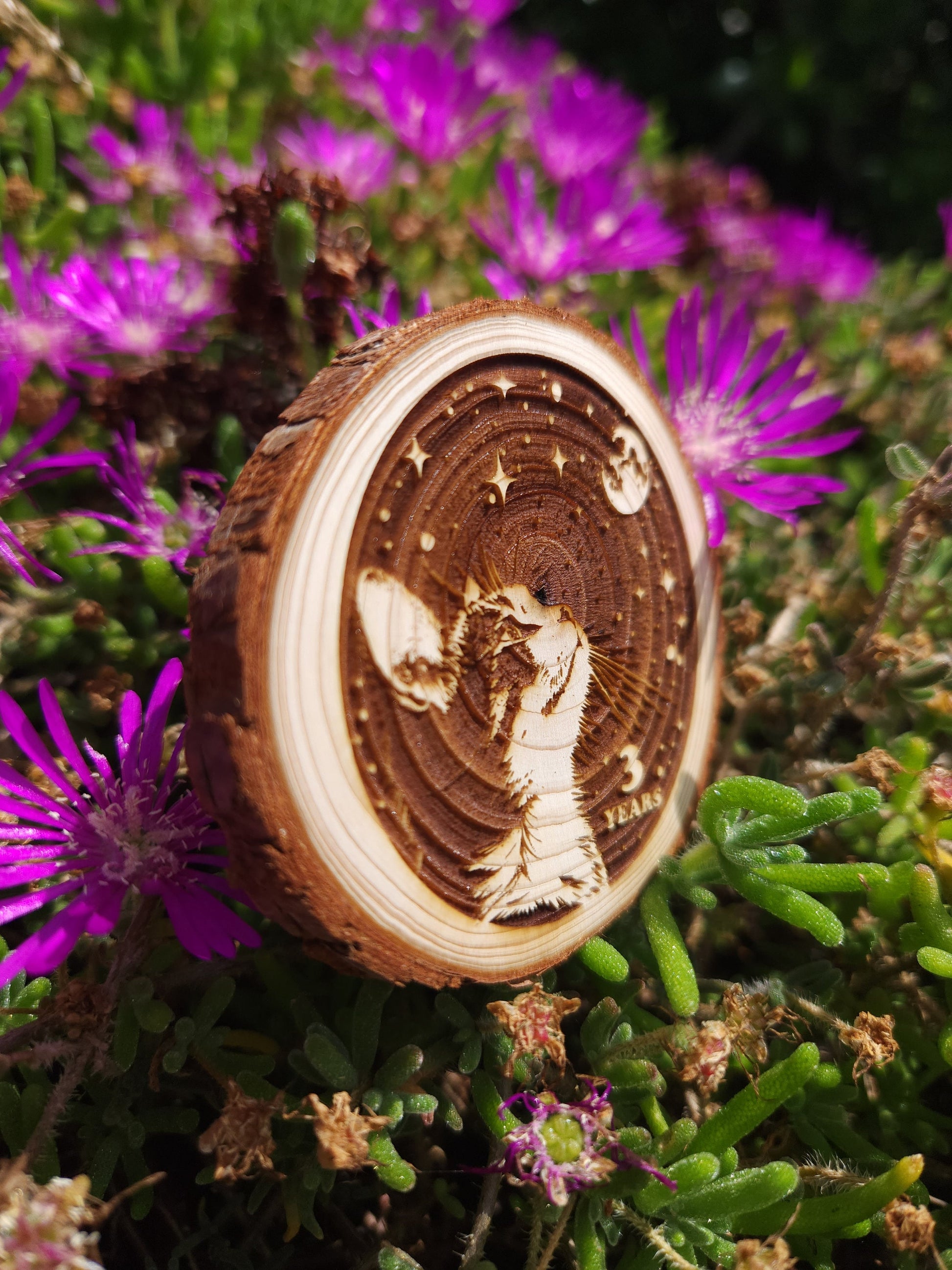 Stargazer Kitty recovery chip back with serenity prayer