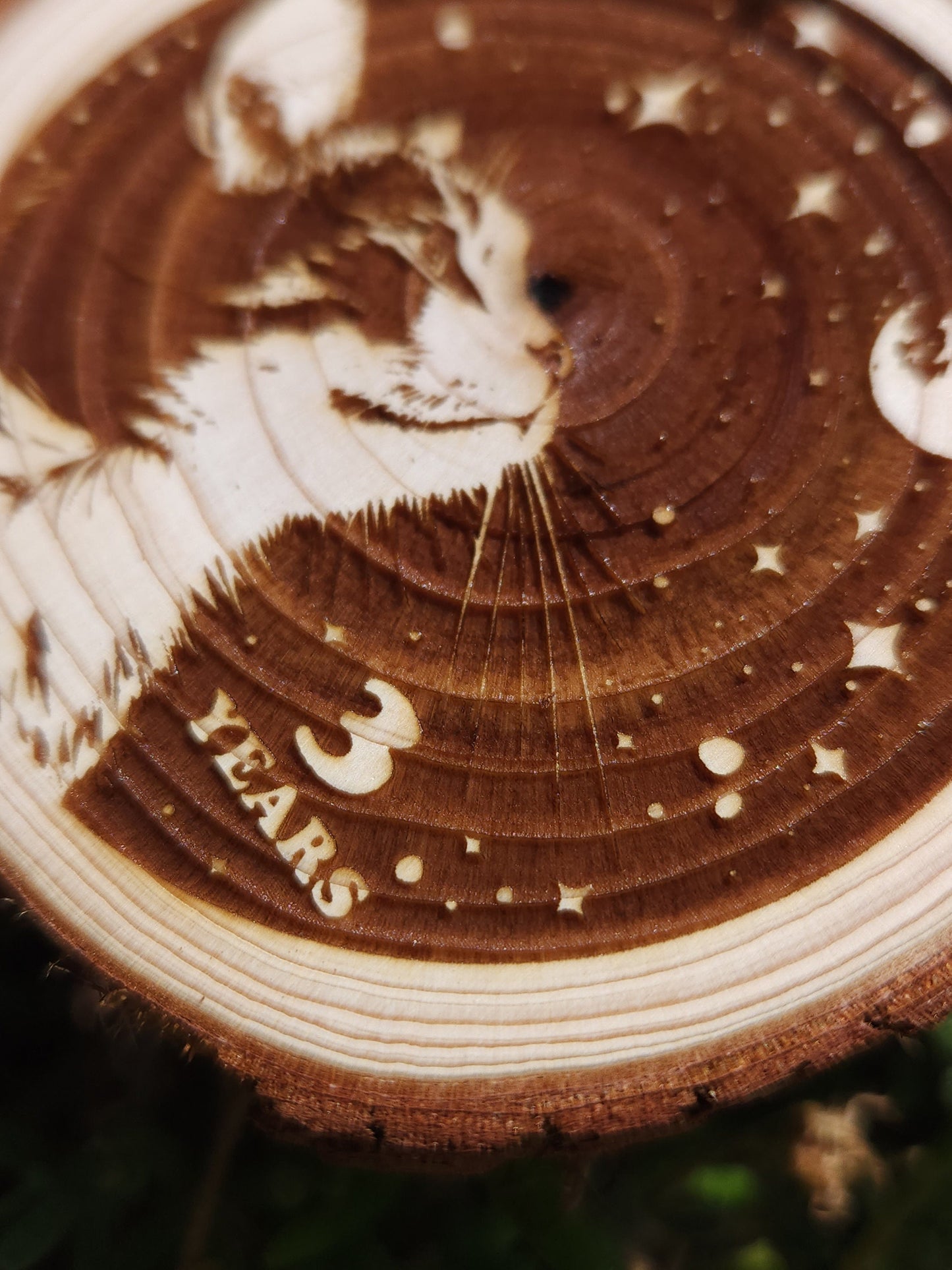 Stargazer Kitty personalized AA sobriety medallion front view