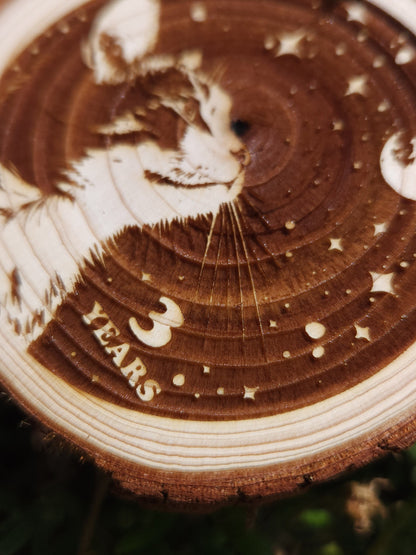 Stargazer Kitty personalized AA sobriety medallion front view