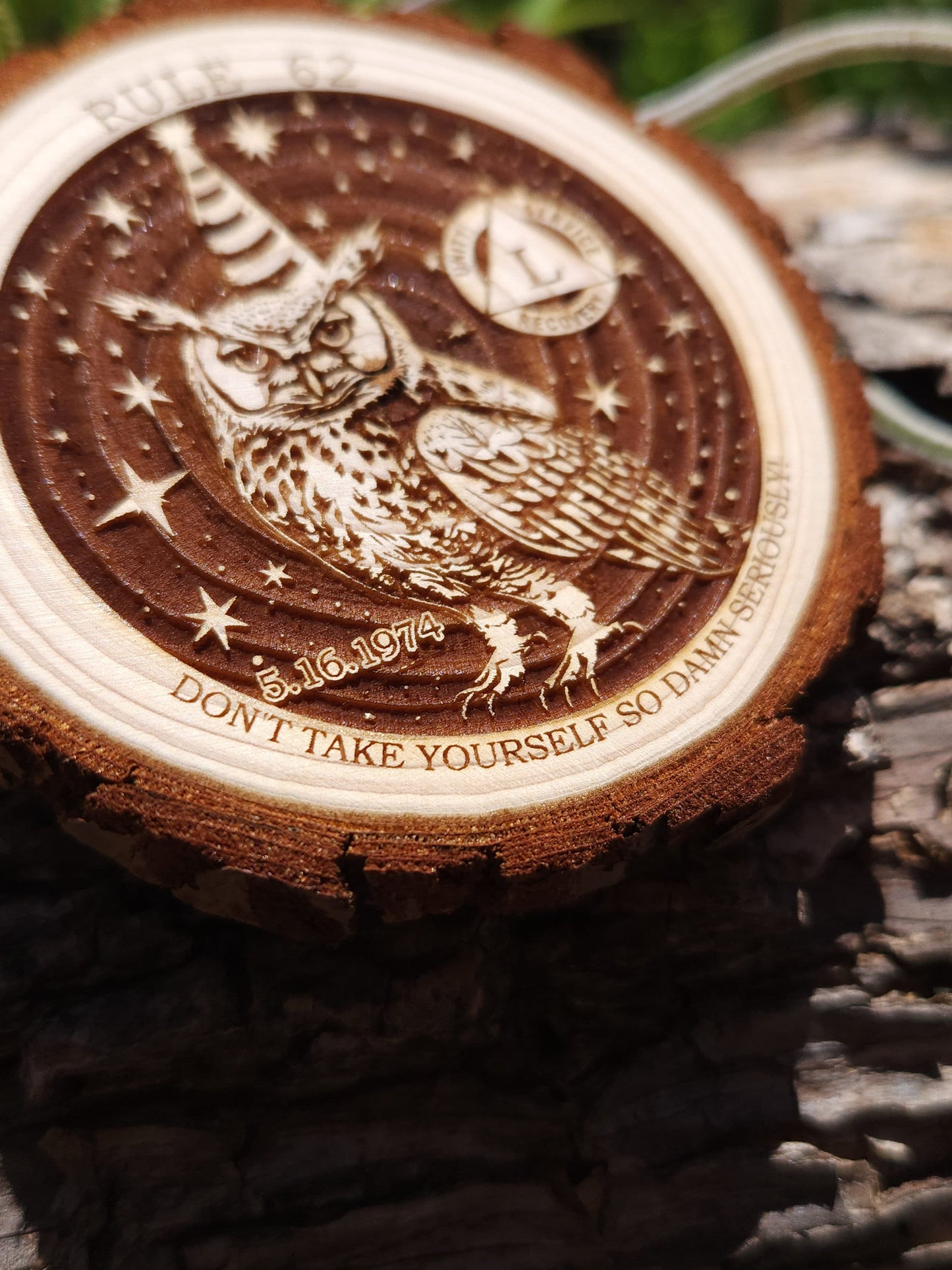 Rule 62 Party Owl recovery chip back with serenity prayer