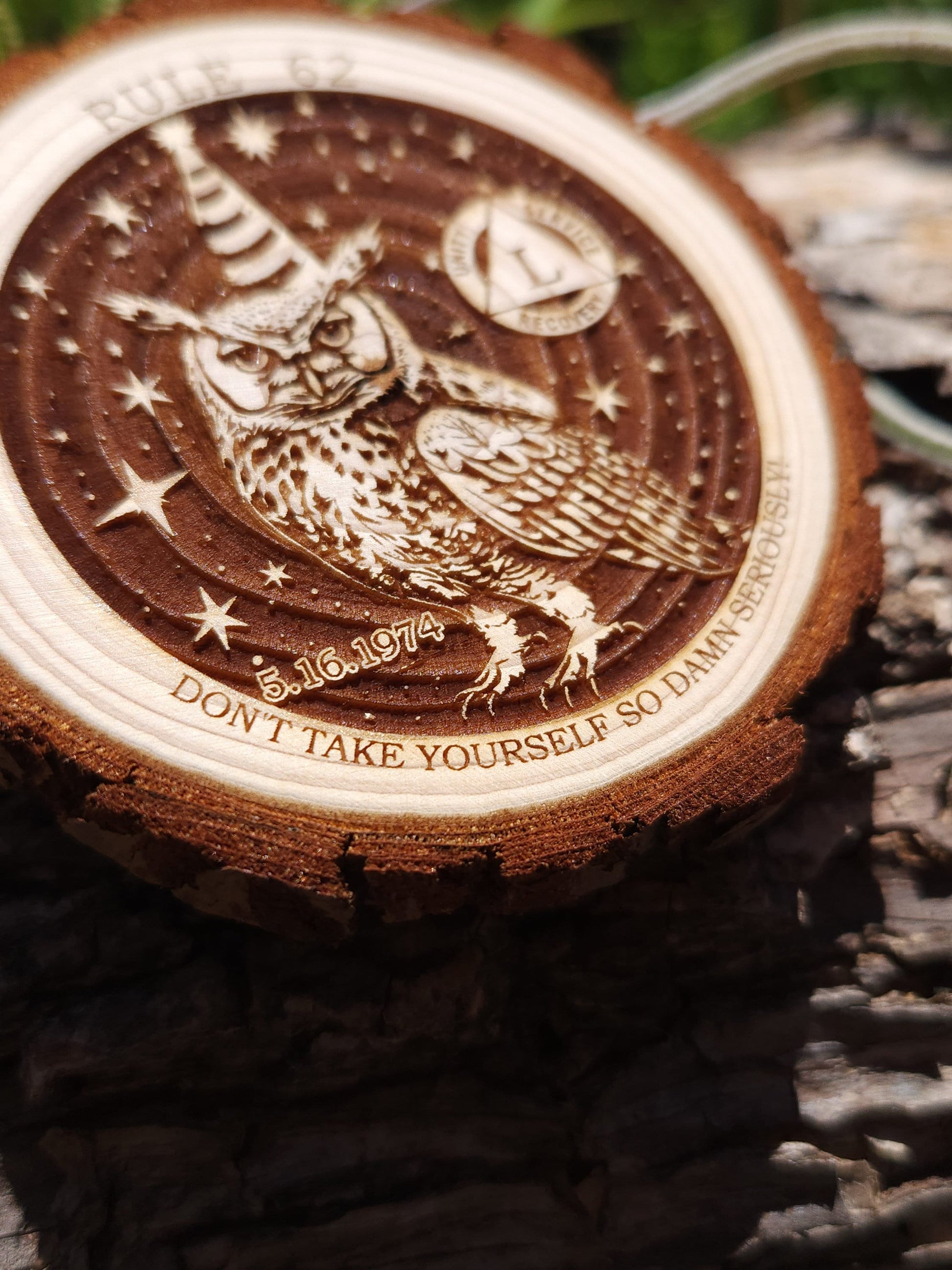 Rule 62 Party Owl recovery chip back with serenity prayer
