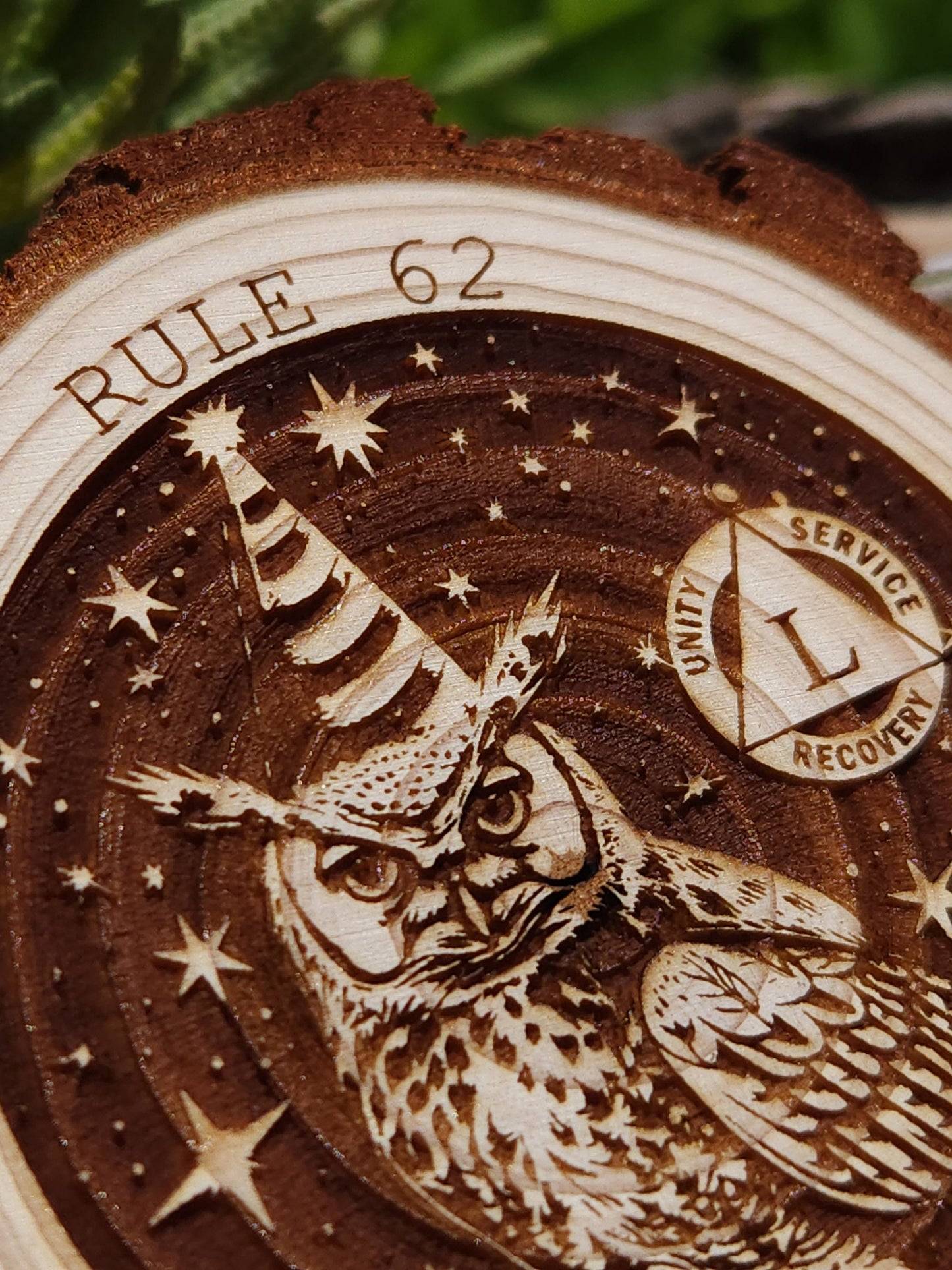 Rule 62 Party Owl personalized AA sobriety medallion front view