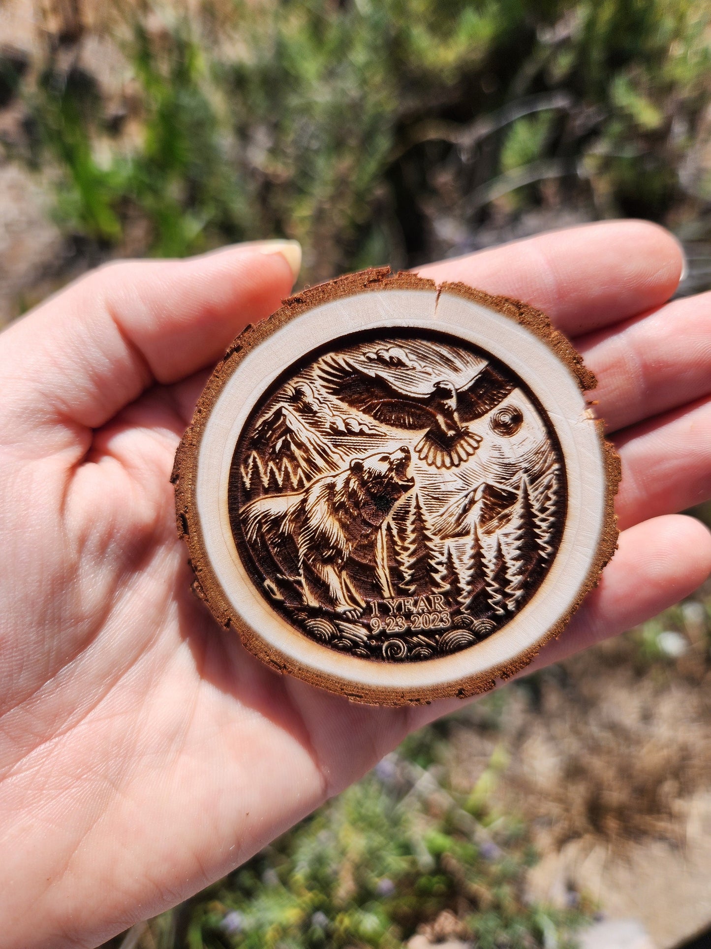 Roar & Soar recovery chip back with serenity prayer