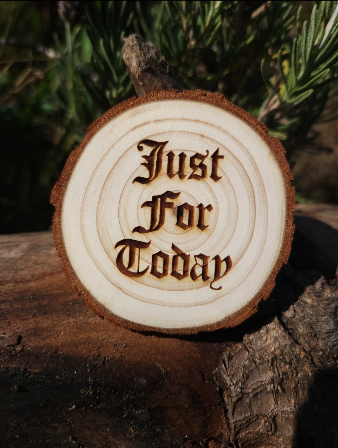 Leap of Faith Dog wood medallion natural grain detail