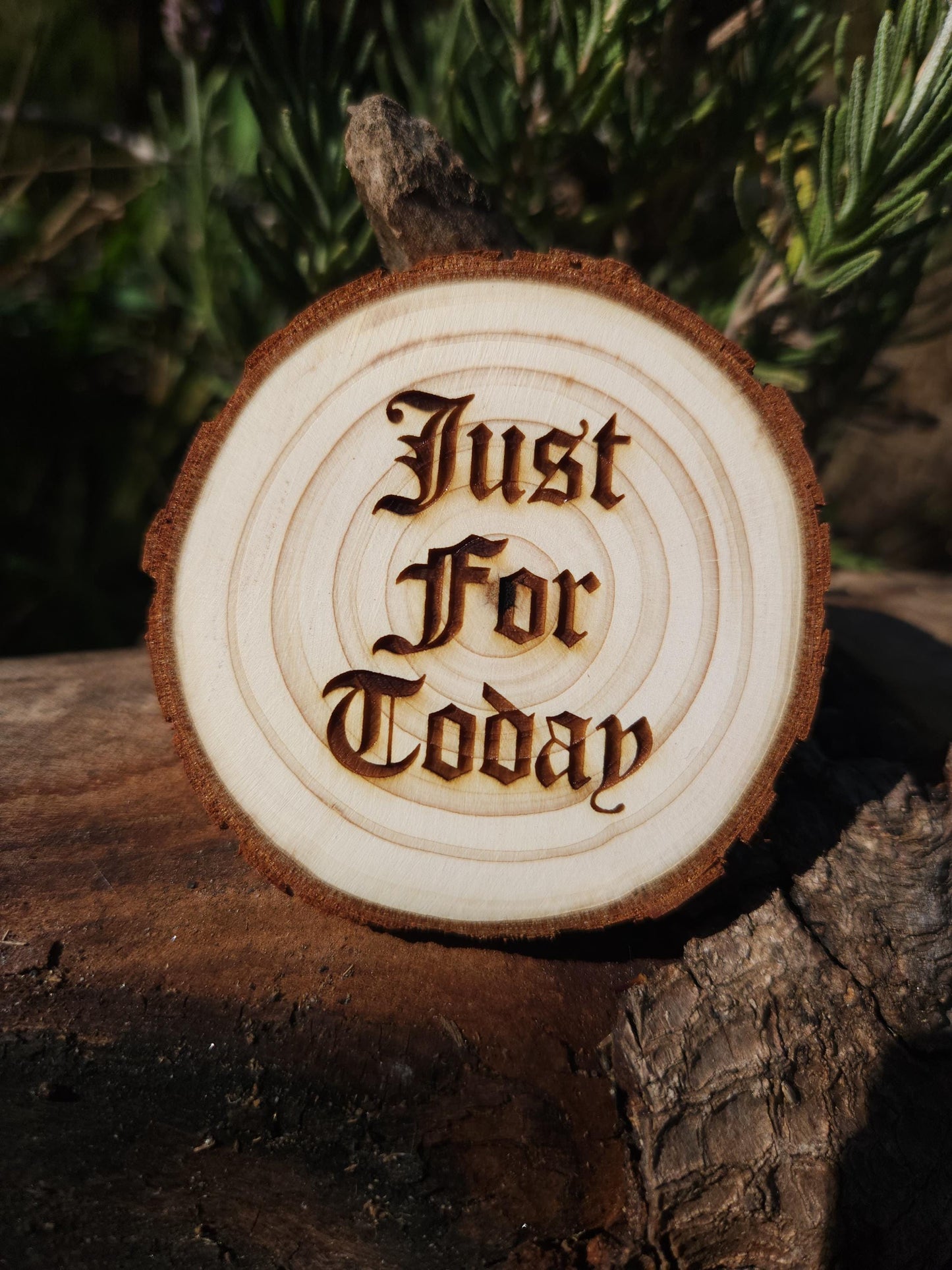 Toadally Serene F.R.O.G. wood medallion natural grain detail