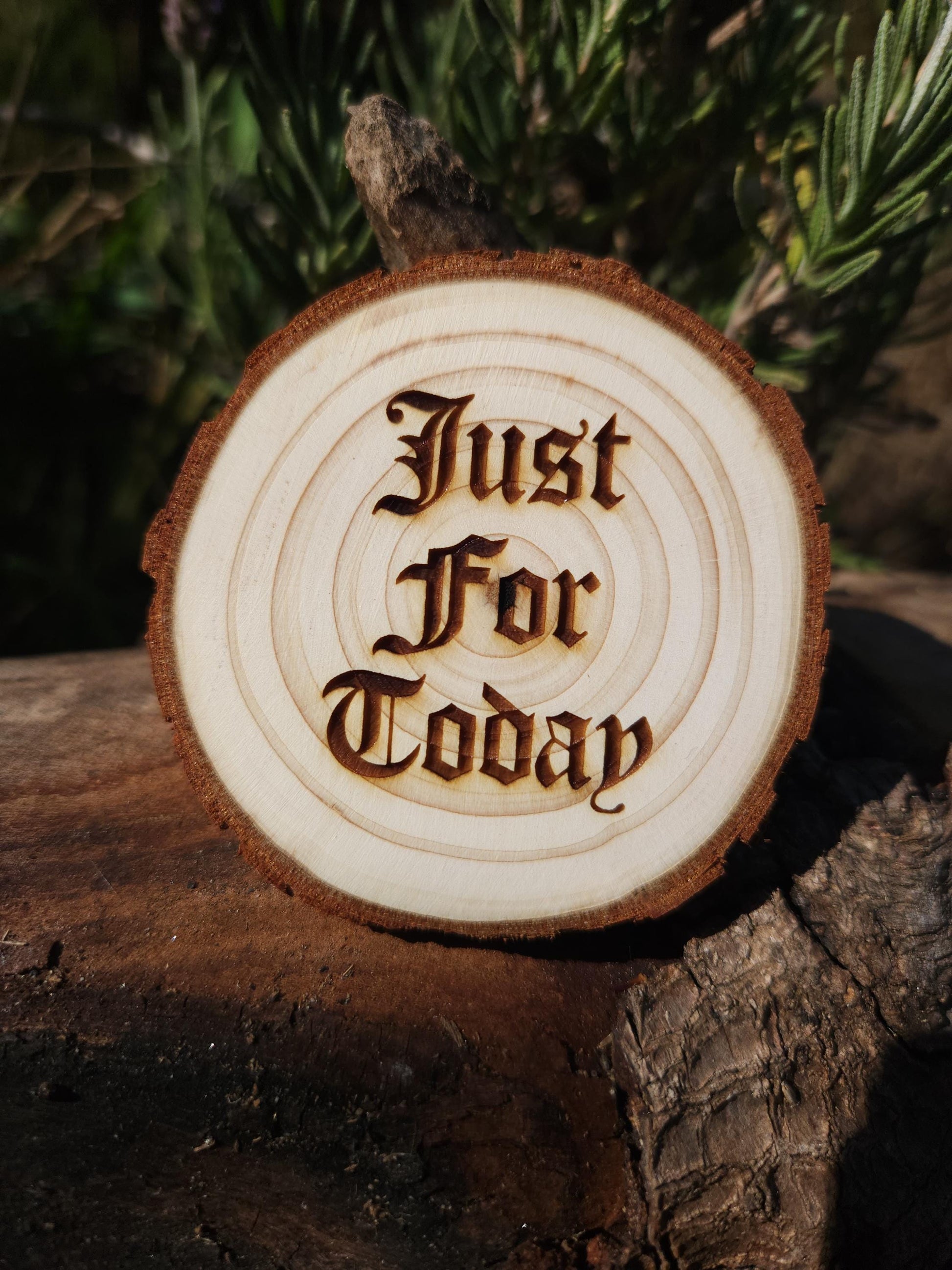 Toadally Serene F.R.O.G. wood medallion natural grain detail