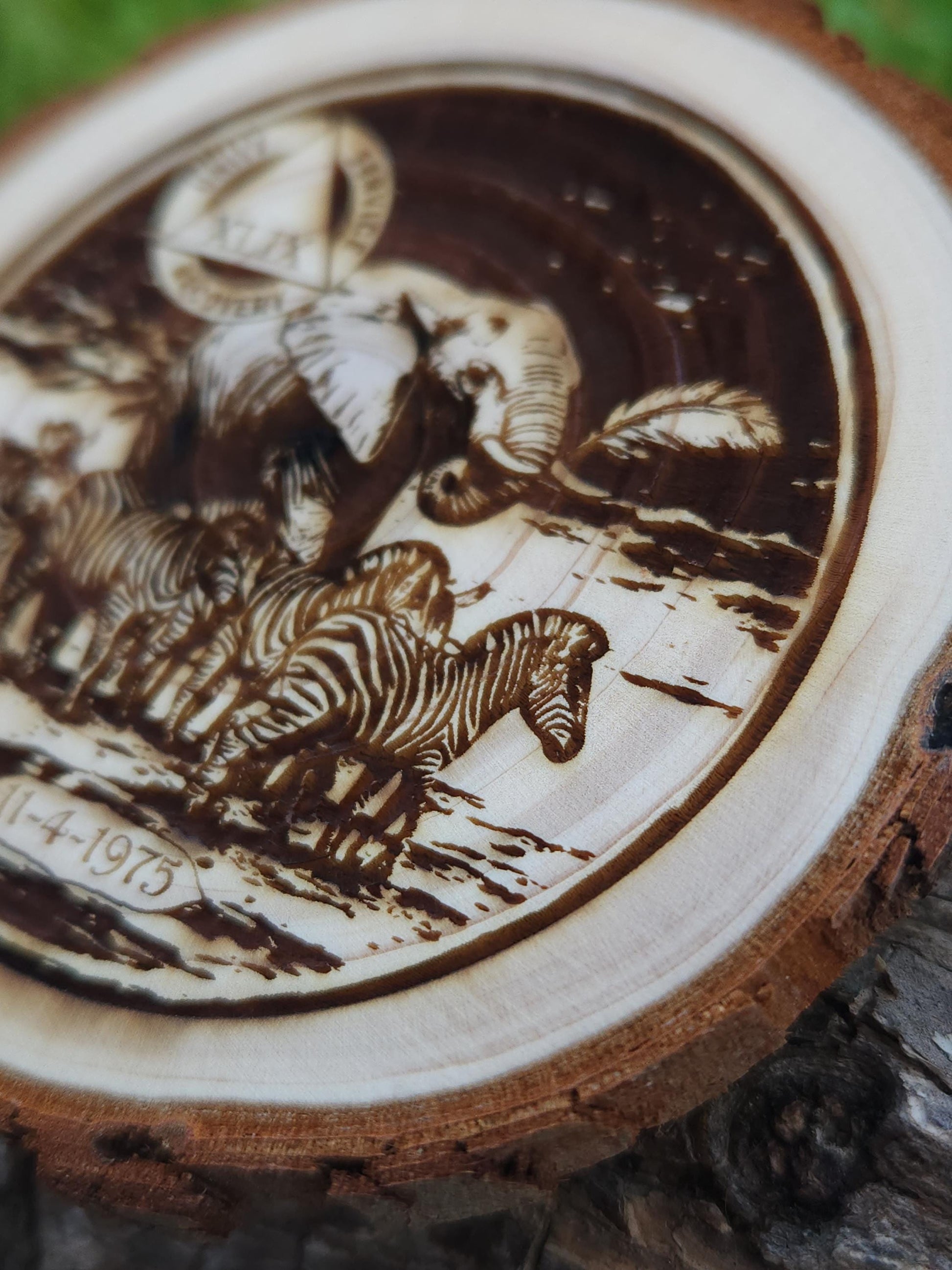 Stay in the Herd Zebra & Elephant personalized AA sobriety medallion front view
