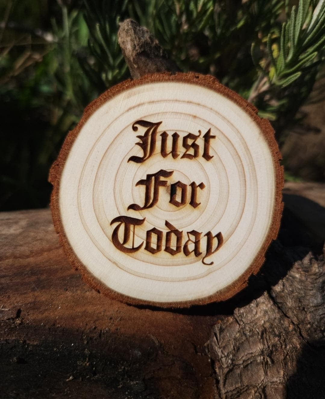 Living the Dream Dreamcatcher wood medallion natural grain detail