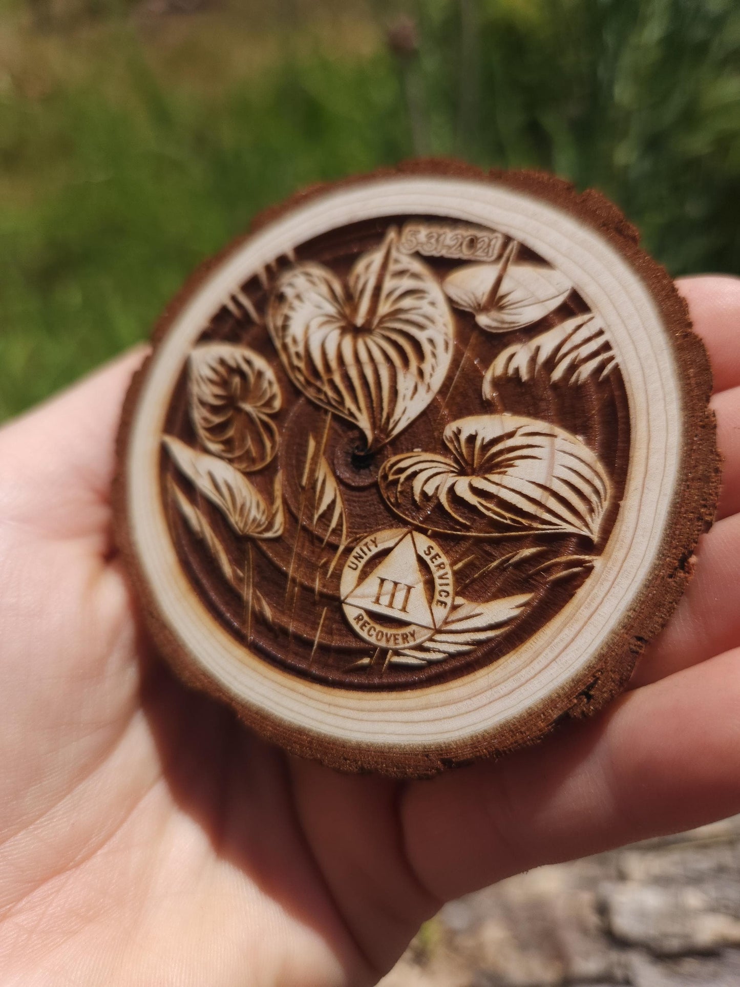 Peace Lily Anthurium recovery chip back with serenity prayer