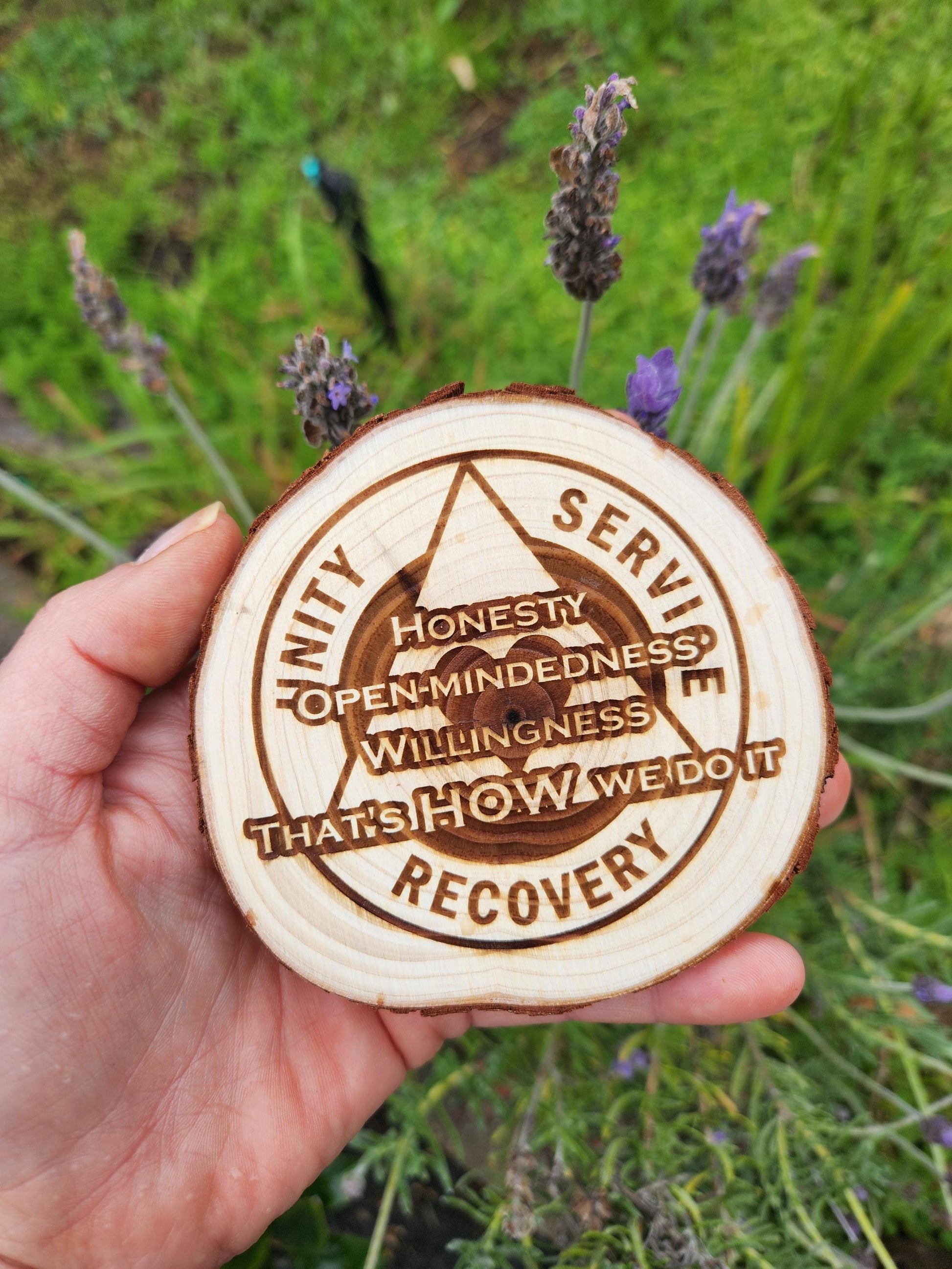 H.O.W. We Do It AA recovery chip back with serenity prayer