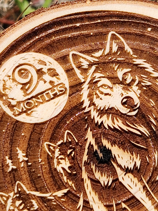 Leader of the Wolf Pack personalized AA sobriety medallion front view