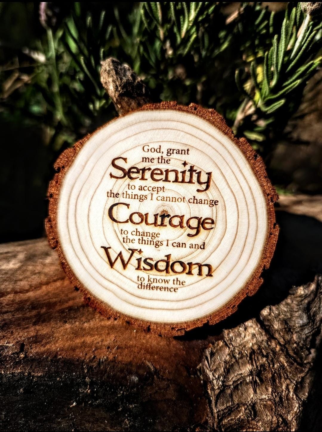 Leader of the Wolf Pack AA NA recovery gift with display stand