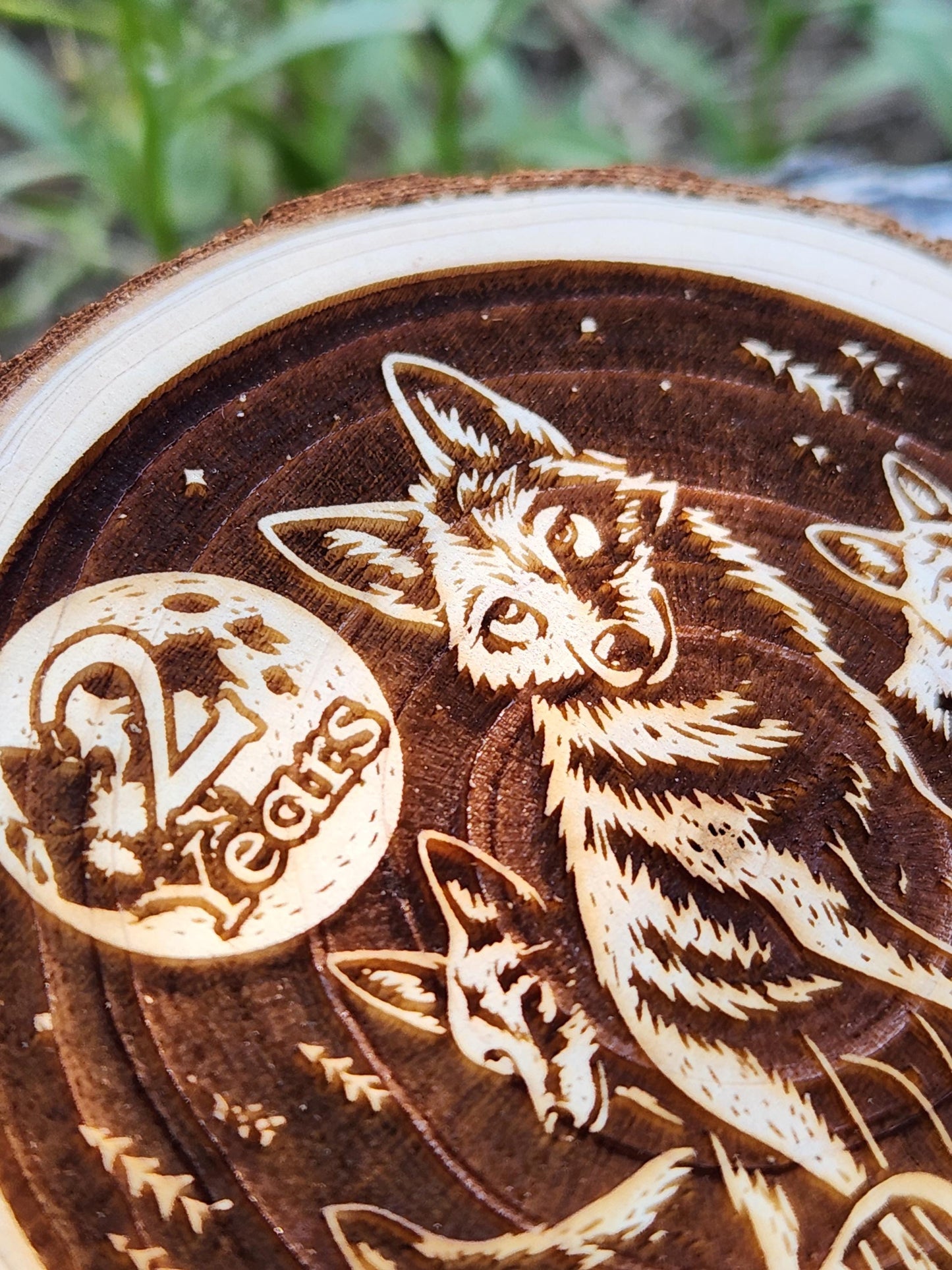 Leader of the Coyote Pack personalized AA sobriety medallion front view